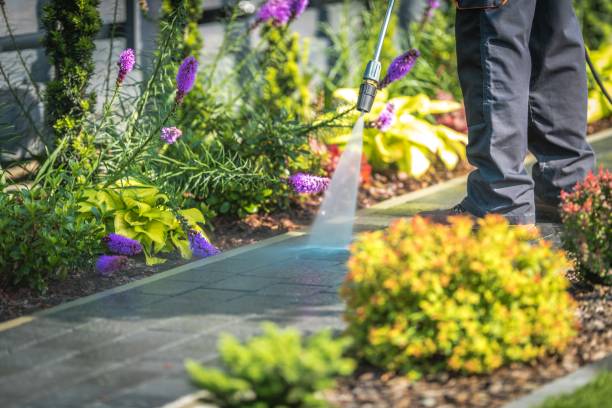 Best Sidewalk and Walkway Cleaning  in Ruskin, FL