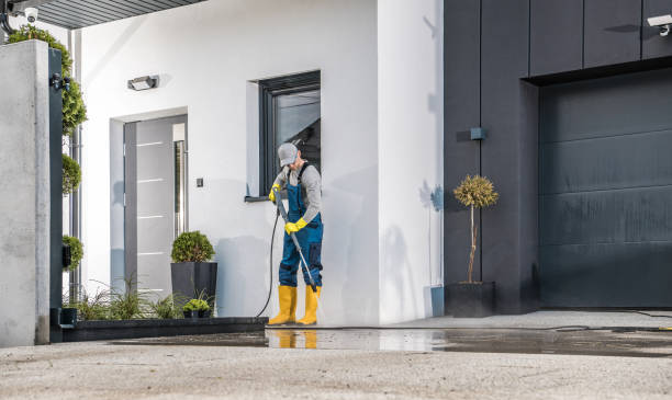 Best Driveway Pressure Washing  in Ruskin, FL